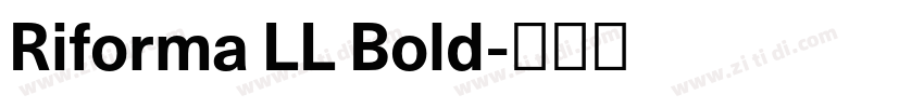Riforma LL Bold字体转换 Riforma LL Bold字体转换